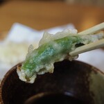 かやの木 - 