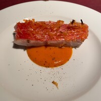 Potoro - 