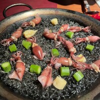 Potoro - 