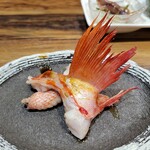 明石焼 蛸乃家 - 