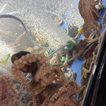 プチョンユッケ - 