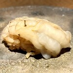 鮨 やくしどう - ガス海老