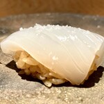 鮨 やくしどう - ハリイカ