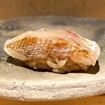 鮨 やくしどう - 小鯛