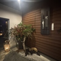 飛騨季節料理 肴 - 