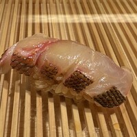 立川 すし なんば - 