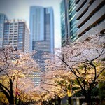 ジ・オークラ・トーキョー - 