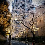 ジ・オークラ・トーキョー - 