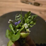 ヴィラ・デラ・パーチェ - 