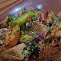 Selvaggio - 