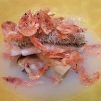 Selvaggio - 