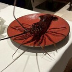 Wakana ～和奏～ - 