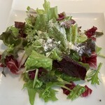 ステラレガーレ - 