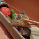 衛藤 - 八寸喰らう