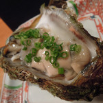 衛藤 - 岩牡蠣　ズームアップ