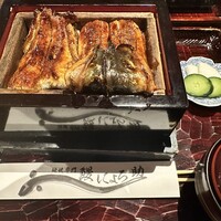 にょろ助 銀座 - 