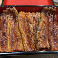 うなぎ 目白ぞろ芽 - 