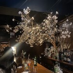 Bar Baron 渋谷 whisky&cocktail - 