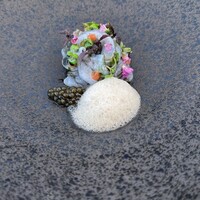 レヴォ - 
