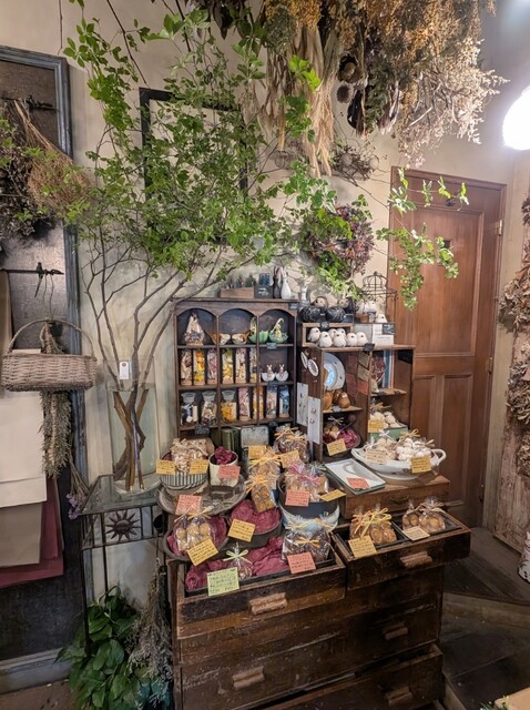 jardin nostalgique photo 5