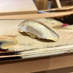 鮨 しみづ - 有明海の小肌