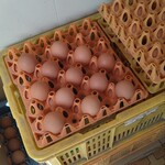 たまご直売 - 