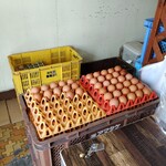 たまご直売 - 