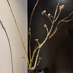 肉亭ふたご iki - 