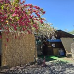 夫婦堤十割そば盛 - 