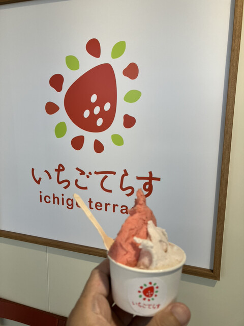 いちごてらす （ichigo terrace） - 桜木/ジェラート・アイスクリーム