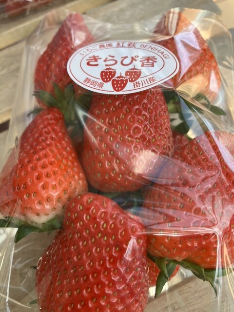 いちごてらす （ichigo terrace） - 桜木/ジェラート・アイスクリーム