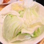 元気屋 - 【２０１４年８月 再訪問】キャベツ