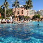 Sheraton Waikiki - プール…12月は寒くて入るのにも勇気がいりました