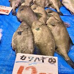 道の駅舞鶴港とれとれセンター - 