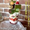 bake melew plant