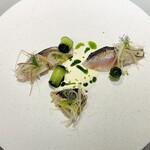 RESTAURANT KOGA - 真鯵の炙り　ヨーグルトソース