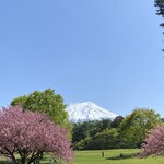 お休み処 茶花 - 