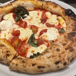 サントフエゴ 橋本 - 