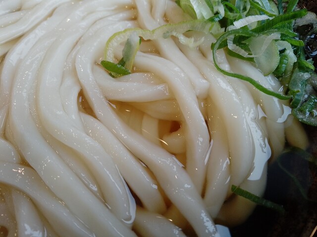 はなまるうどん むつ中央店 - 下北（うどん）の写真