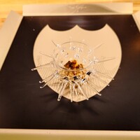 クッチーナ - ◯エンジェルヘア
                      北海道のウニを使っている冷たいエンジェルヘア
                      天使の髪の毛程の細さなパスタを使っている冷製パスタ
                      このお店で一番最初に提供される定番料理
                      今日はウニにオレンジが隠し味のパスタとの説明
