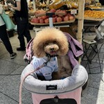 大衆食堂みゆき - 野菜を買いに行った帰りに♪