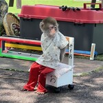 川場田園プラザ - 