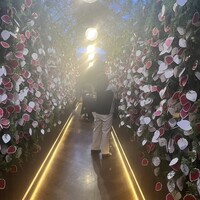 スカイビュッフェ51 - 