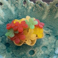 6 - 