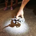 民宿のはら荘 - 