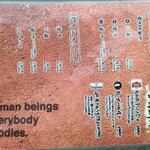 人類みな麺類 - 