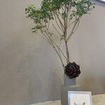 こぶたさんがころんだ。 - 