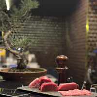 HIKARI - 