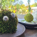 ボンサイ カフェ - 