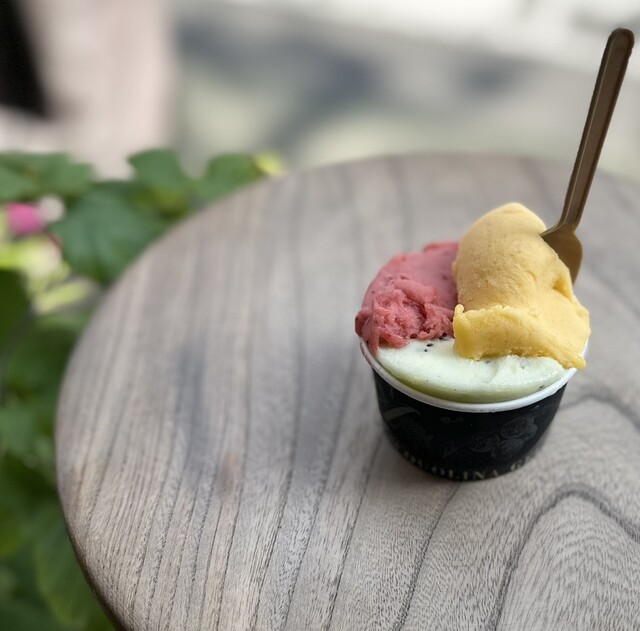 GELATERIA ACQUOLINA photo 4